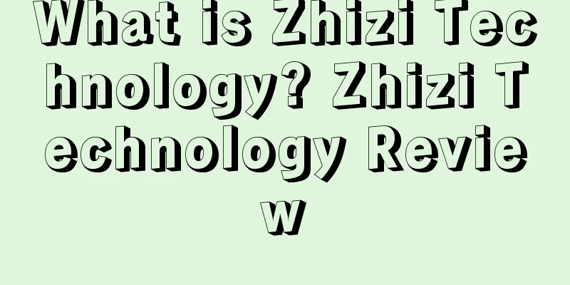 What is Zhizi Technology? Zhizi Technology Review