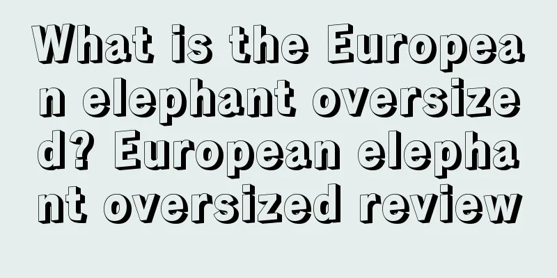 What is the European elephant oversized? European elephant oversized review