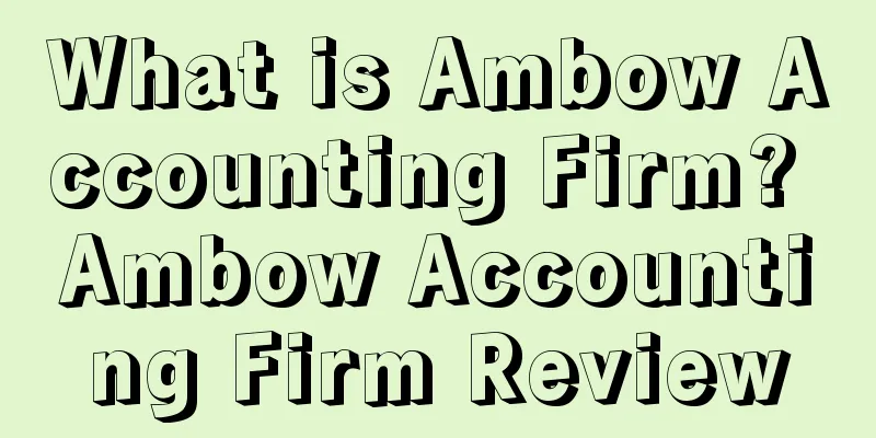 What is Ambow Accounting Firm? Ambow Accounting Firm Review