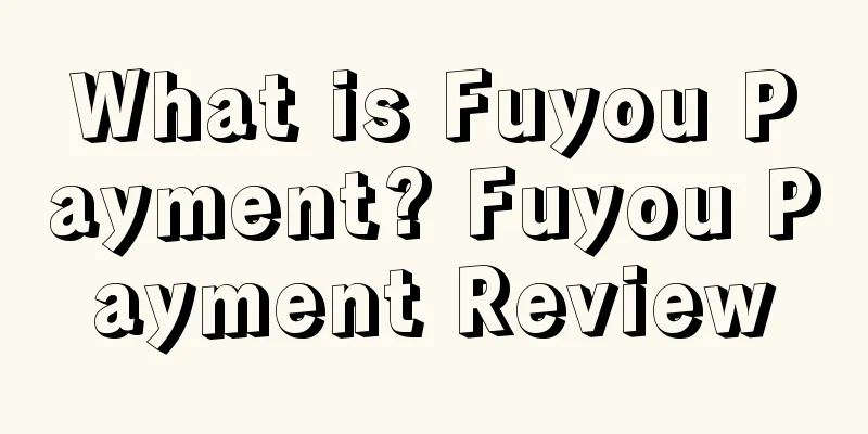 What is Fuyou Payment? Fuyou Payment Review