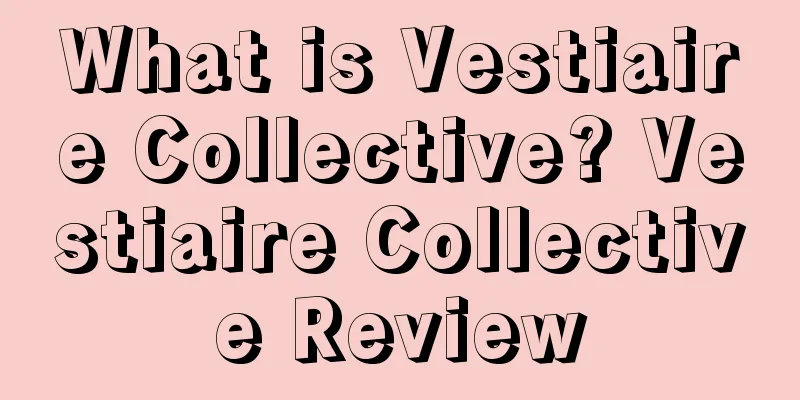 What is Vestiaire Collective? Vestiaire Collective Review