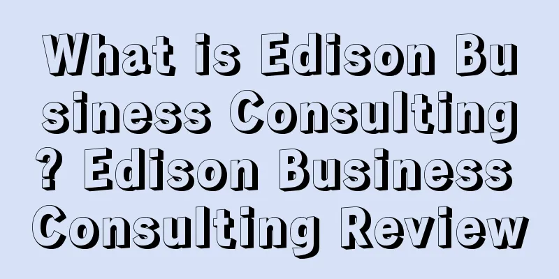 What is Edison Business Consulting? Edison Business Consulting Review