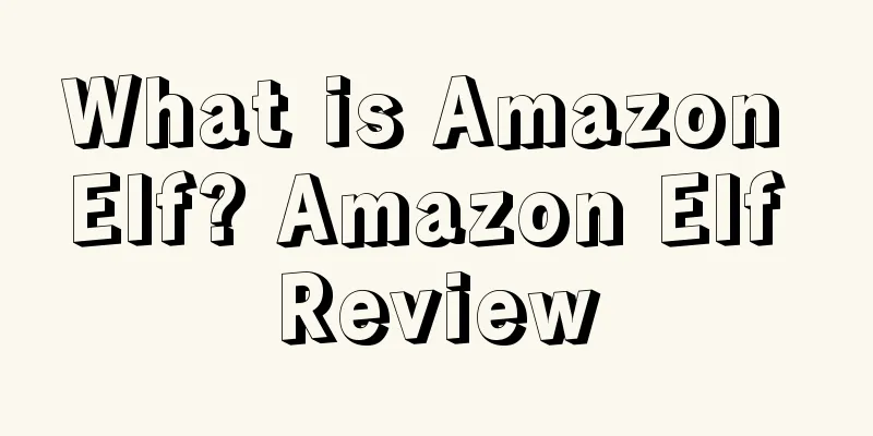What is Amazon Elf? Amazon Elf Review