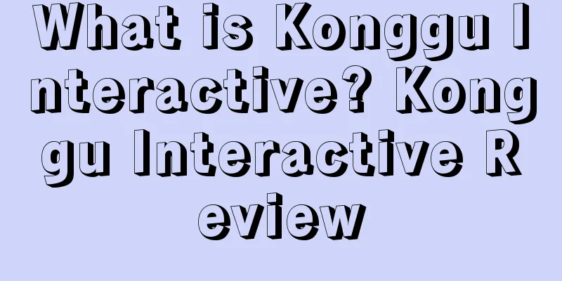 What is Konggu Interactive? Konggu Interactive Review