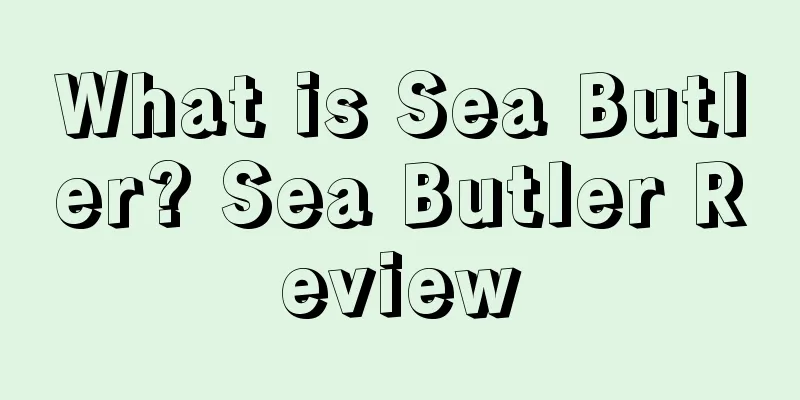 What is Sea Butler? Sea Butler Review