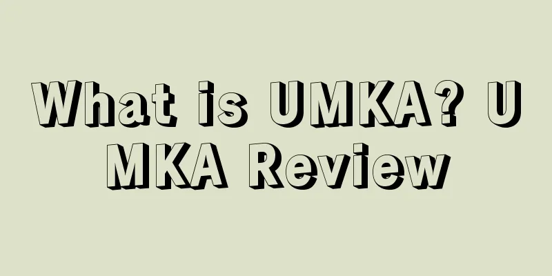 What is UMKA? UMKA Review
