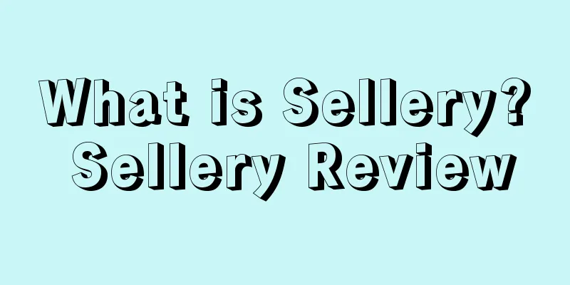 What is Sellery? Sellery Review