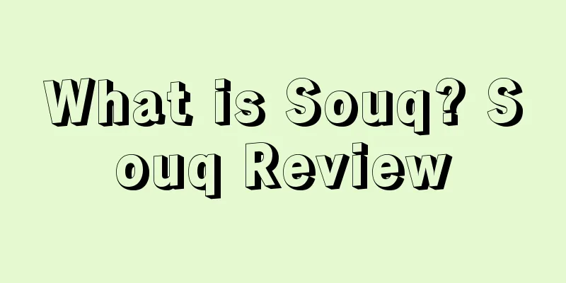 What is Souq? Souq Review