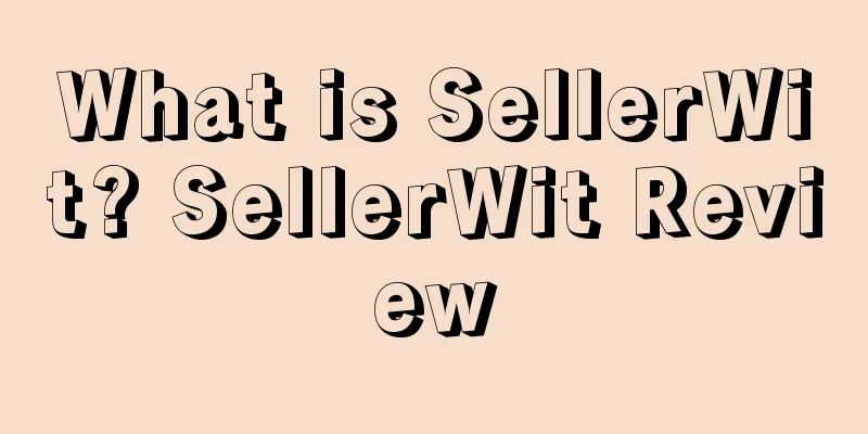 What is SellerWit? SellerWit Review