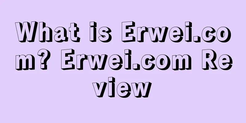 What is Erwei.com? Erwei.com Review