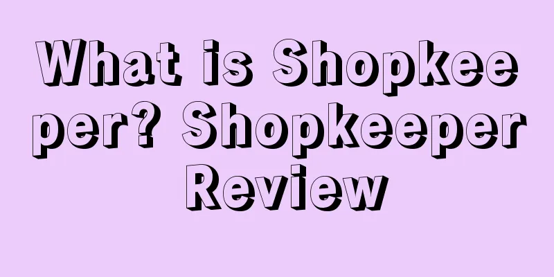 What is Shopkeeper? Shopkeeper Review