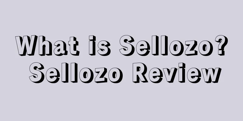What is Sellozo? Sellozo Review