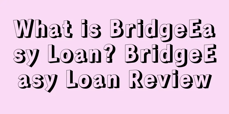 What is BridgeEasy Loan? BridgeEasy Loan Review