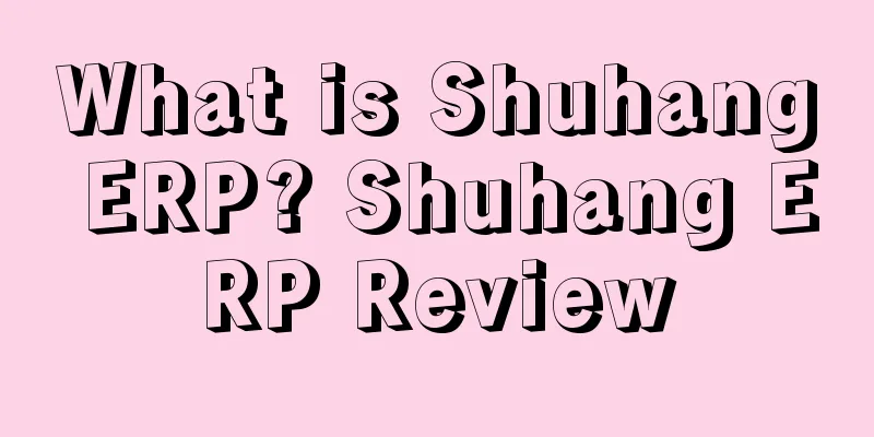 What is Shuhang ERP? Shuhang ERP Review