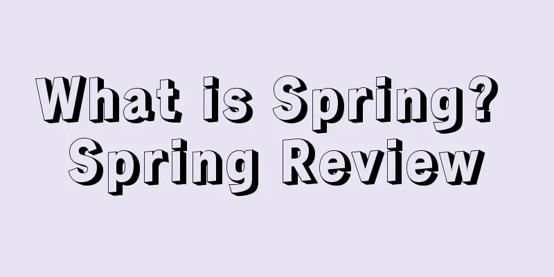 What is Spring? Spring Review