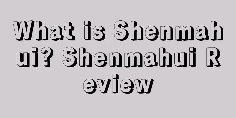 What is Shenmahui? Shenmahui Review