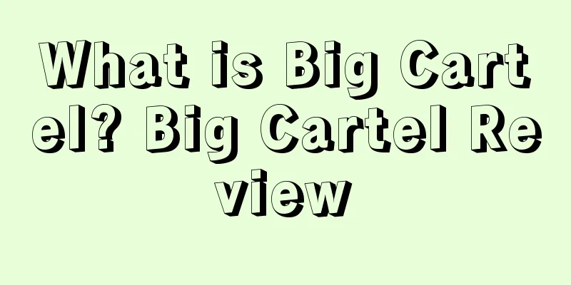What is Big Cartel? Big Cartel Review