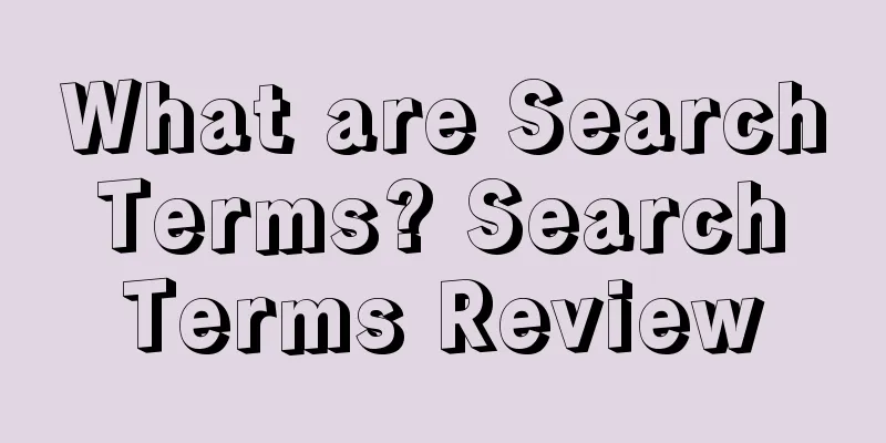 What are Search Terms? Search Terms Review
