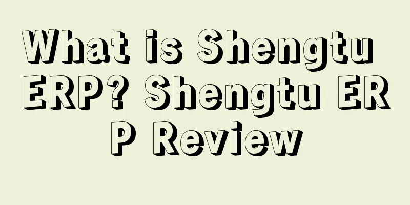 What is Shengtu ERP? Shengtu ERP Review
