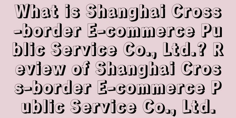 What is Shanghai Cross-border E-commerce Public Service Co., Ltd.? Review of Shanghai Cross-border E-commerce Public Service Co., Ltd.