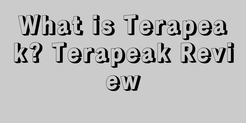 What is Terapeak? Terapeak Review