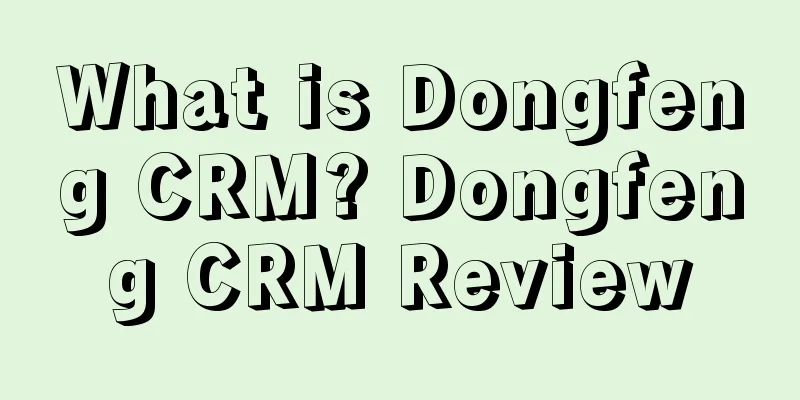 What is Dongfeng CRM? Dongfeng CRM Review