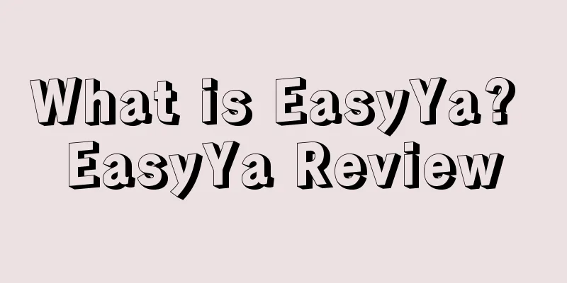 What is EasyYa? EasyYa Review