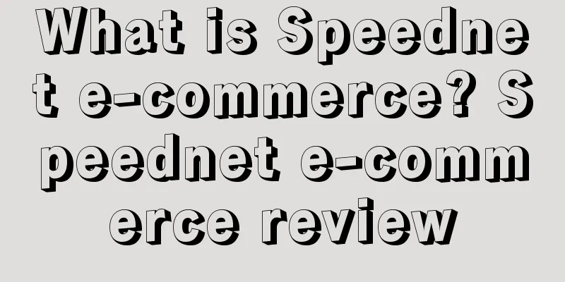 What is Speednet e-commerce? Speednet e-commerce review