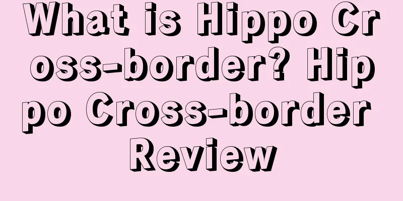 What is Hippo Cross-border? Hippo Cross-border Review