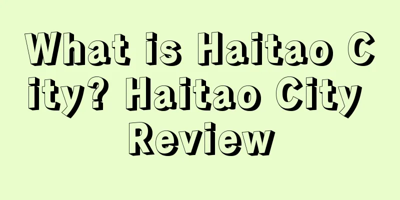 What is Haitao City? Haitao City Review