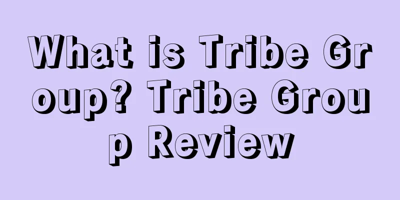 What is Tribe Group? Tribe Group Review