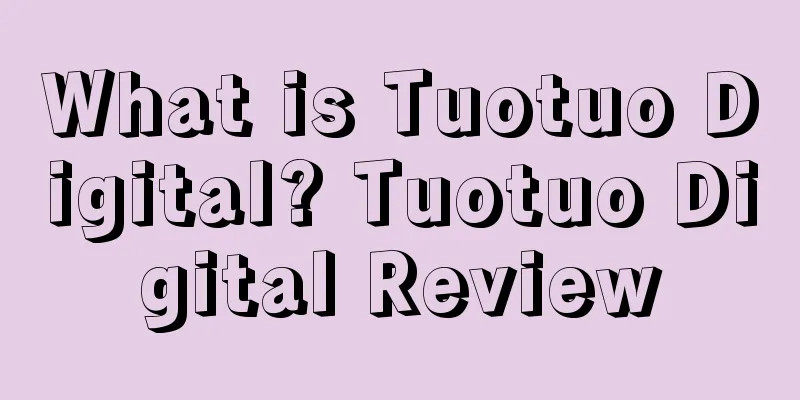 What is Tuotuo Digital? Tuotuo Digital Review