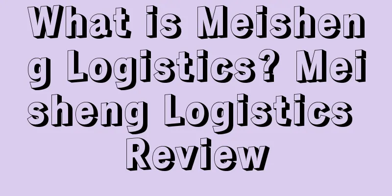 What is Meisheng Logistics? Meisheng Logistics Review