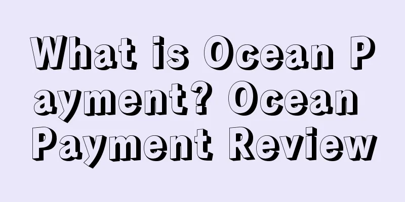 What is Ocean Payment? Ocean Payment Review