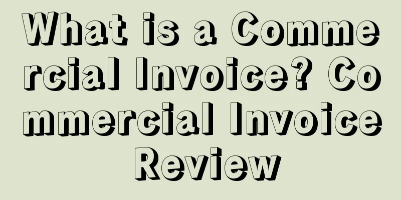 What is a Commercial Invoice? Commercial Invoice Review