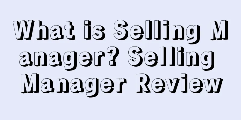 What is Selling Manager? Selling Manager Review