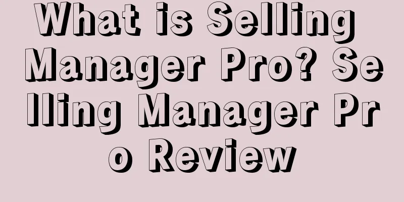 What is Selling Manager Pro? Selling Manager Pro Review