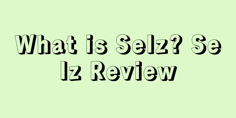 What is Selz? Selz Review