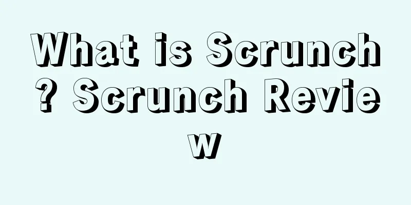 What is Scrunch? Scrunch Review