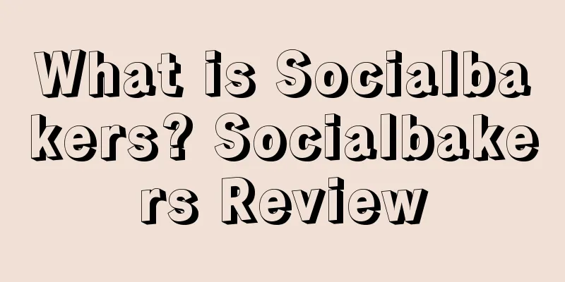 What is Socialbakers? Socialbakers Review