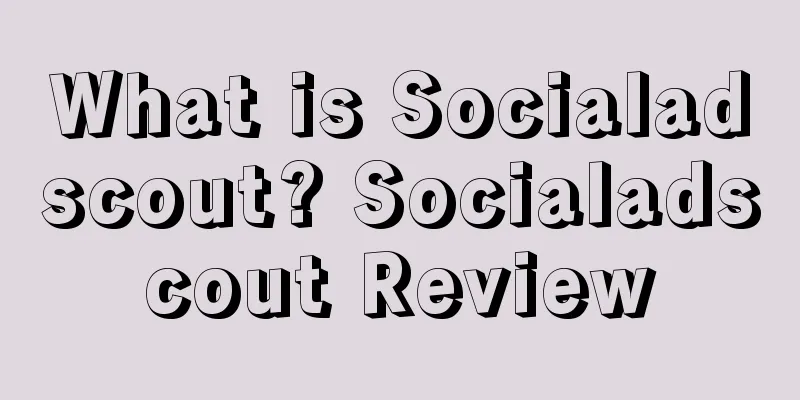What is Socialadscout? Socialadscout Review