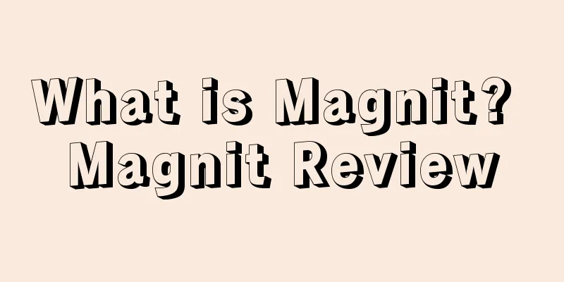 What is Magnit? Magnit Review