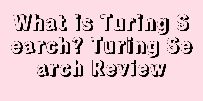What is Turing Search? Turing Search Review