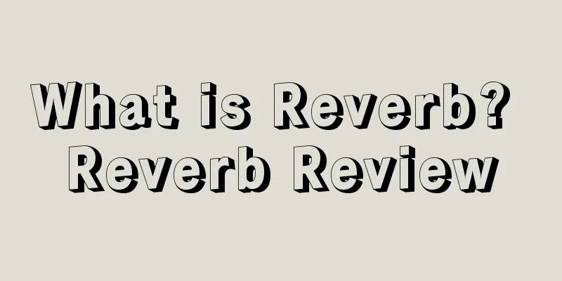 What is Reverb? Reverb Review