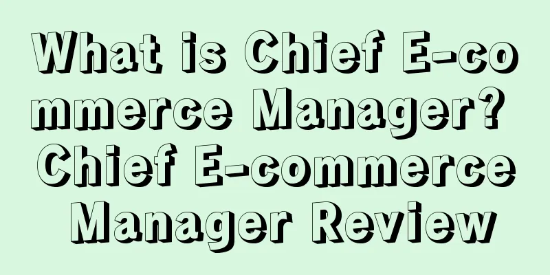 What is Chief E-commerce Manager? Chief E-commerce Manager Review