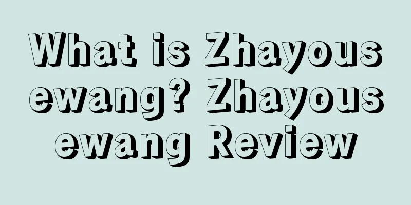 What is Zhayousewang? Zhayousewang Review