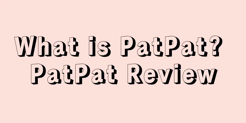 What is PatPat? PatPat Review