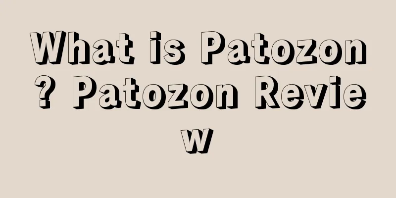 What is Patozon? Patozon Review