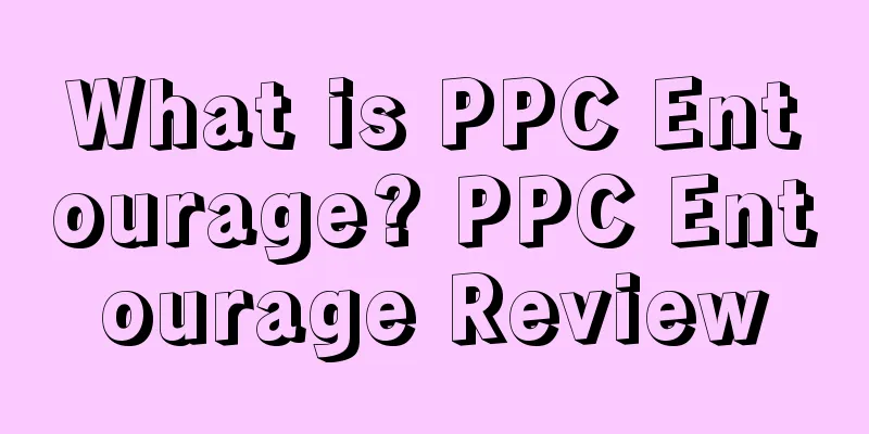 What is PPC Entourage? PPC Entourage Review