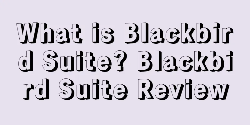 What is Blackbird Suite? Blackbird Suite Review